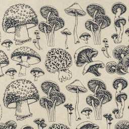 Elan Transfers Underglaze Transfer Sheet - Natural Mushrooms, Black - close-up