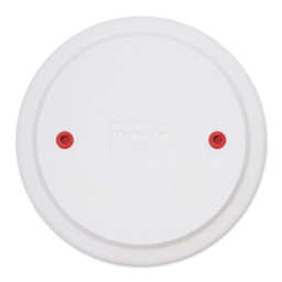 The Ceramic Shop Bullseye Bat - 10" - back