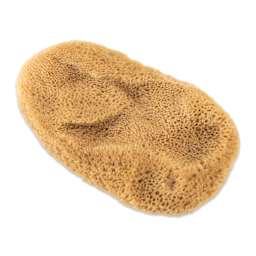 Royal & Langnickel Elephant Ear Sponge - 3 to 3-1/2"