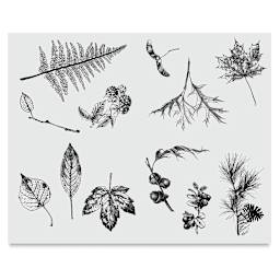 Mayco Designer Silkscreens - Screen of various Leaves shown