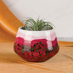 Mayco Earthenware Bisque Vases - Flora Vase, Pkg of 6 - finished red example holding plant