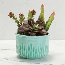 Mayco Earthenware Bisque Textured Planters - Front view of Aqua glazed planter with cacti