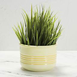 Mayco Earthenware Bisque Textured Planters - Single planter glazed yellow with greenery