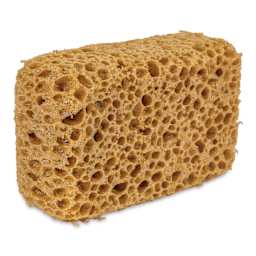 Oval Poly Sponge - 6" x 4" x 2 1/2" - angled view
