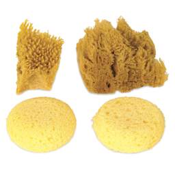 Royal & Langnickel Natural and Synthetic Artist Sponges - Pkg of 4