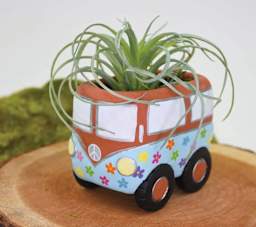 Original Sculpey - Package, 1.75 lb, Terra Cotta finished plant pot made with Sculpey