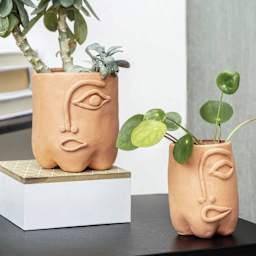 Staedtler Fimo Air Modeling Clay - White, 17.64 oz - finished plant pot examples