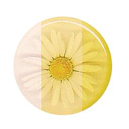 Castin’ Craft Transparent Resin Dye - 1 oz, Yellow