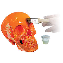 Smooth-On XTC-3D High-Performance 3D Print Coating - Plastic skull being coated with brush by artist