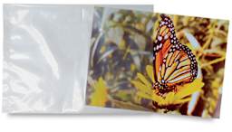 Acid-Free Poly-Bags - Photo of butterfly partially inserted in Bag
