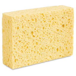 Commercial Cellulose Sponge - left angle view of sponge