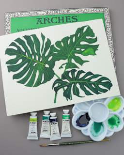 Bundle Foliage