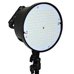 Savage LED Portrait Kit