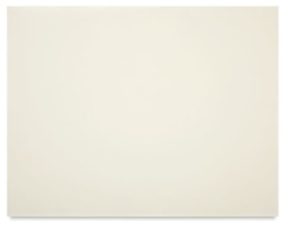 Pronto-Plate 5000 - Top view of single Plate sheet