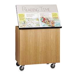 Diversified Spaces Write-n-Roll Cabinet - Oak/Classic (Book open on marker board top)