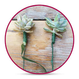 Craft Decor Floral Tape - Green, 60 ft (Shown with succulents)