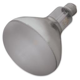 Chromalux Light Bulb - LED, 12W, R40