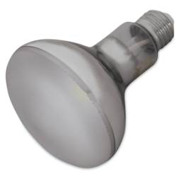 Chromalux Light Bulb - LED, 12W, R30
