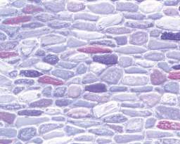 Plastruct Patterned Sheets, Field Stone, 1:48 Scale (finished example)