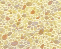 Plastruct Patterned Sheets, Random Polished Stone, 1:48 Scale (finished example)