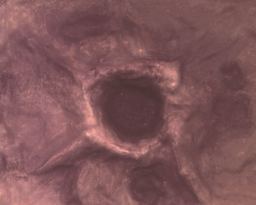 Plastruct Patterned Sheets, Moon and War Craters, No Scale (finished example)