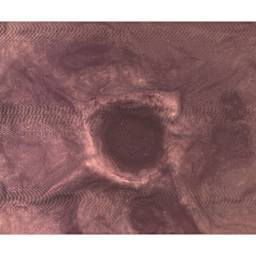 Plastruct Moon and War Craters Patterned Sheet, finished example