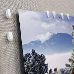 StikkiWorks StikkiClips - Adhesive Wax, Pkg of 20, clips being used to hold a poster. 