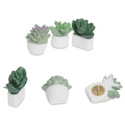 U Brands Push Pins - Potted Succulents, Pkg of 6, pins laid out