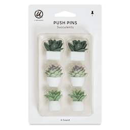 U Brands Push Pins - Potted Succulents, Pkg of 6, front of the packaging