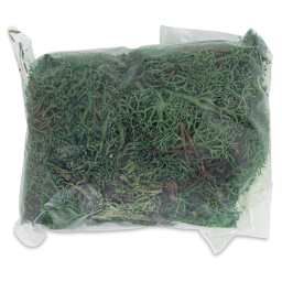Schulcz Scale Model Foliage - Icelandic Lichen Moss, Olive Green, 50 g (proct out of package)