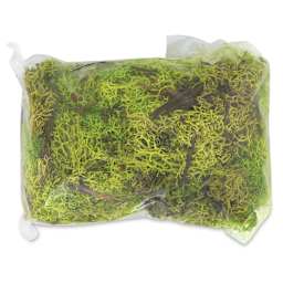 Schulcz Scale Model Foliage - Icelandic Lichen Moss, Green, 50 g (product out of package)