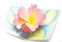 water lily origami pop up card