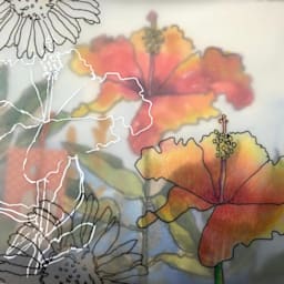 Mixed Media Jane LaFanzio