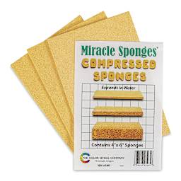 Miracle Sponges - 4" x 6", Pkg of 3