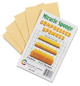 Miracle Sponges - 4 flat sponges shown next to package 