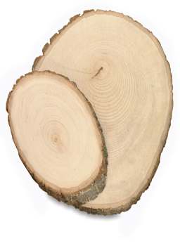 Walnut Hollow Basswood Shapes - Two slices of basswood trunk, small and large shown