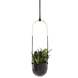 Umbra Home Décor Bolo Planter