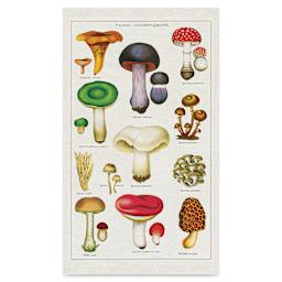 Cavallini Mushrooms Tea Towel