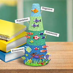 CraftFoM 8.9" x 3.7"