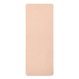 Realeather Veg-Tan Tooling Leather - Natural Cowhide, 9-3/8" x 3-1/2", outside of the packaging