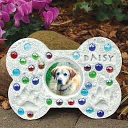 Milestones Mosaic Stepping Stone Kit - Pet Photo (Sample completed stepping stone with pet photo and paw prints)