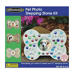 Milestones Mosaic Stepping Stone Kit - Pet Photo (Front of packaging)