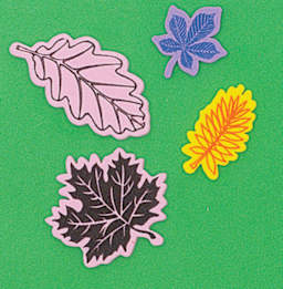 WonderFoam 3D Sticker Shapes - Leaf stickers from Nature Shapes Box