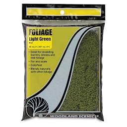 Woodland Scenics Model Scenery - Front view of package of Foliage in Light Green