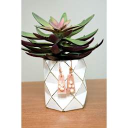 Sculpey Silicone Jewelry Mold - Finished earrings hanging off planter
