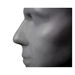 The Monster Makers Premium Armature - Left side profile of Ed bust