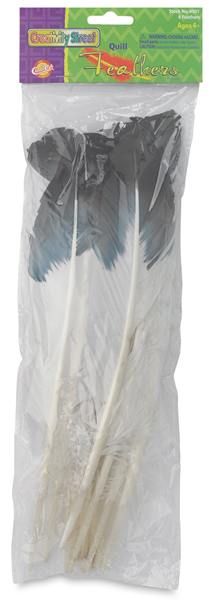 Imitation Eagle Feathers, Pkg of 12