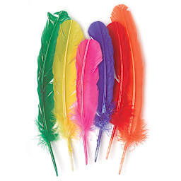 Turkey Feathers, Pkg of 6