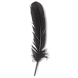 Turkey Feathers, Pkg of 8