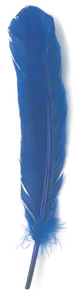 Turkey Feathers, Pkg of 8